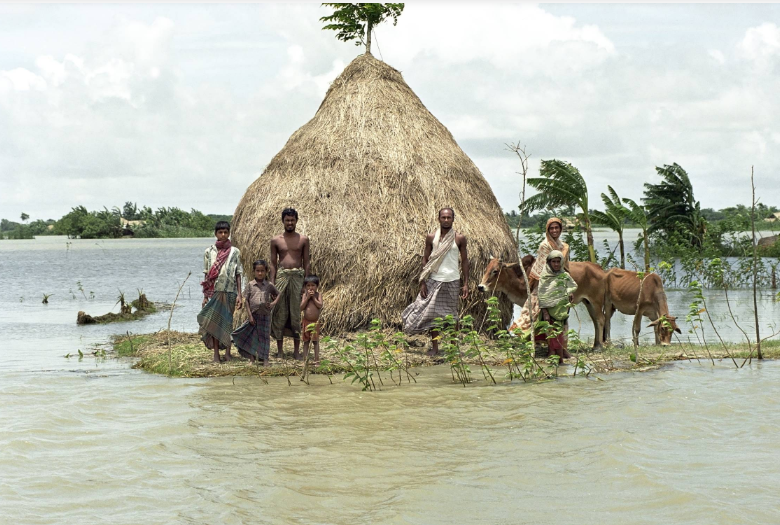 Why Climate Change Is the Biggest Public Health Challenge climate change