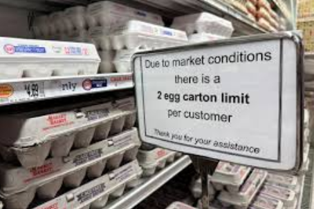 US Increases Egg Imports from Korea & Türkiye– What You Need to Know